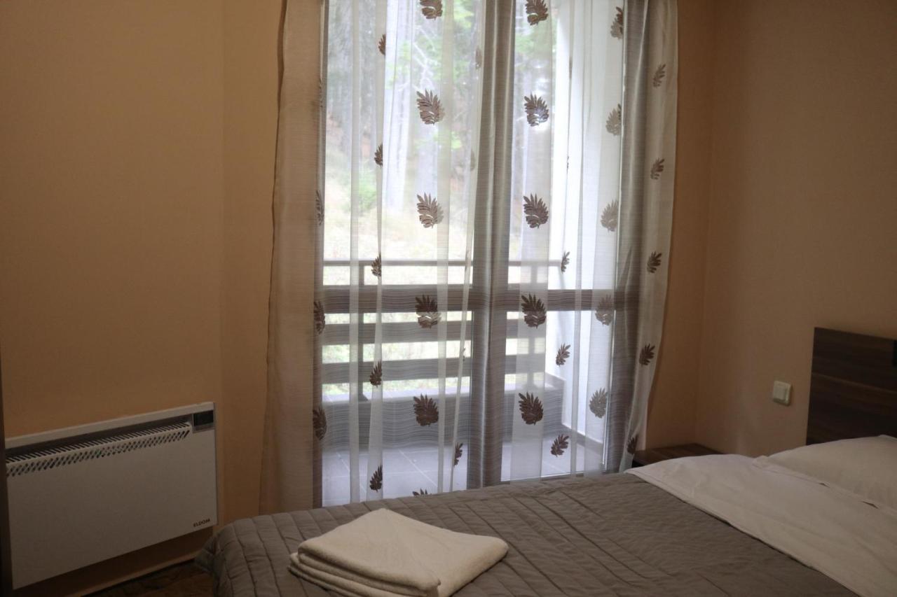 Winter Аpartments Gerovi Appartement Pamporovo Buitenkant foto